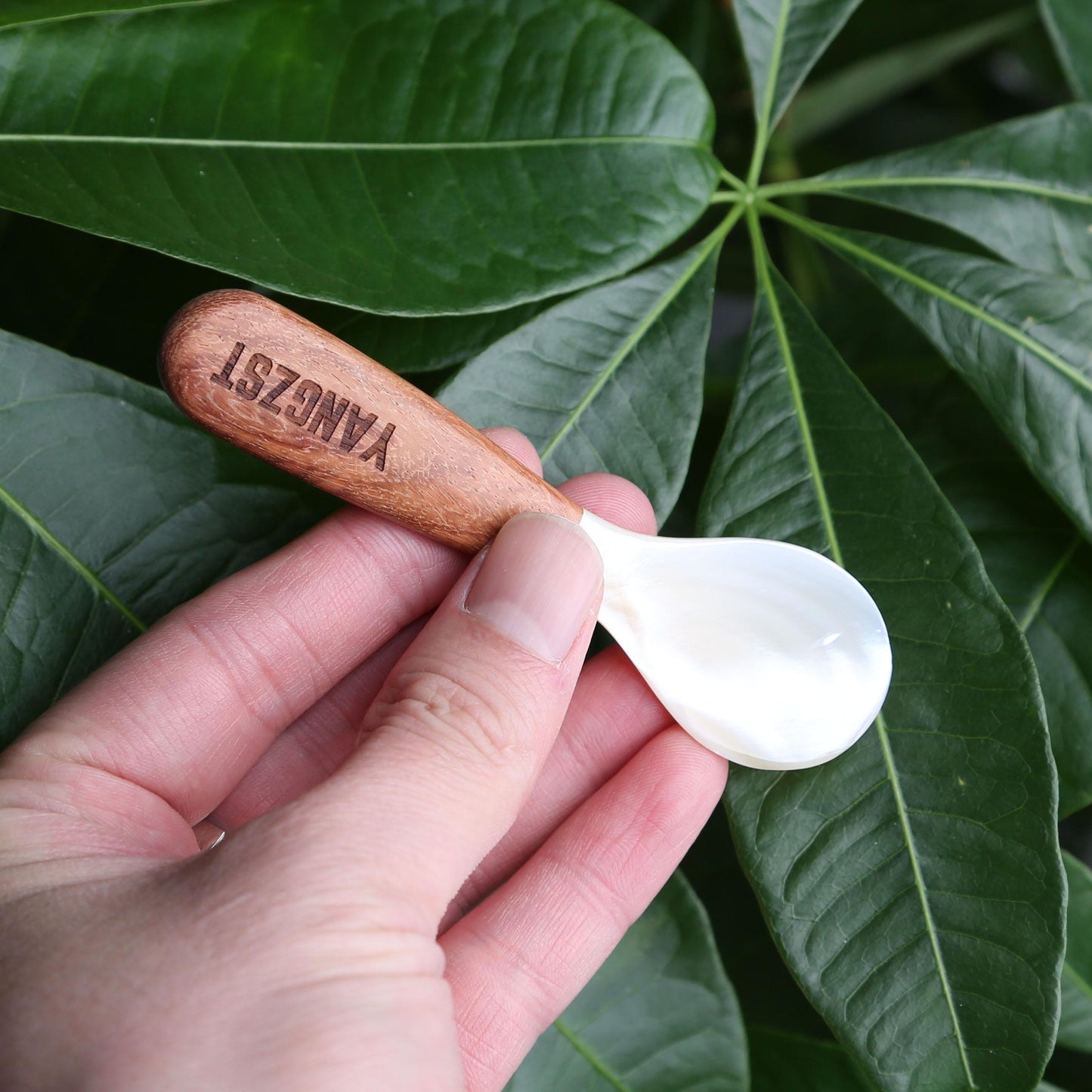 2pcs Wooden Coffee Stirring Spoon with Shell Inlay,Caviar Spoon,Vintage Multi-Purpose Spoon,Custom Engraving,Idea for Home,Cafe & Bar Use