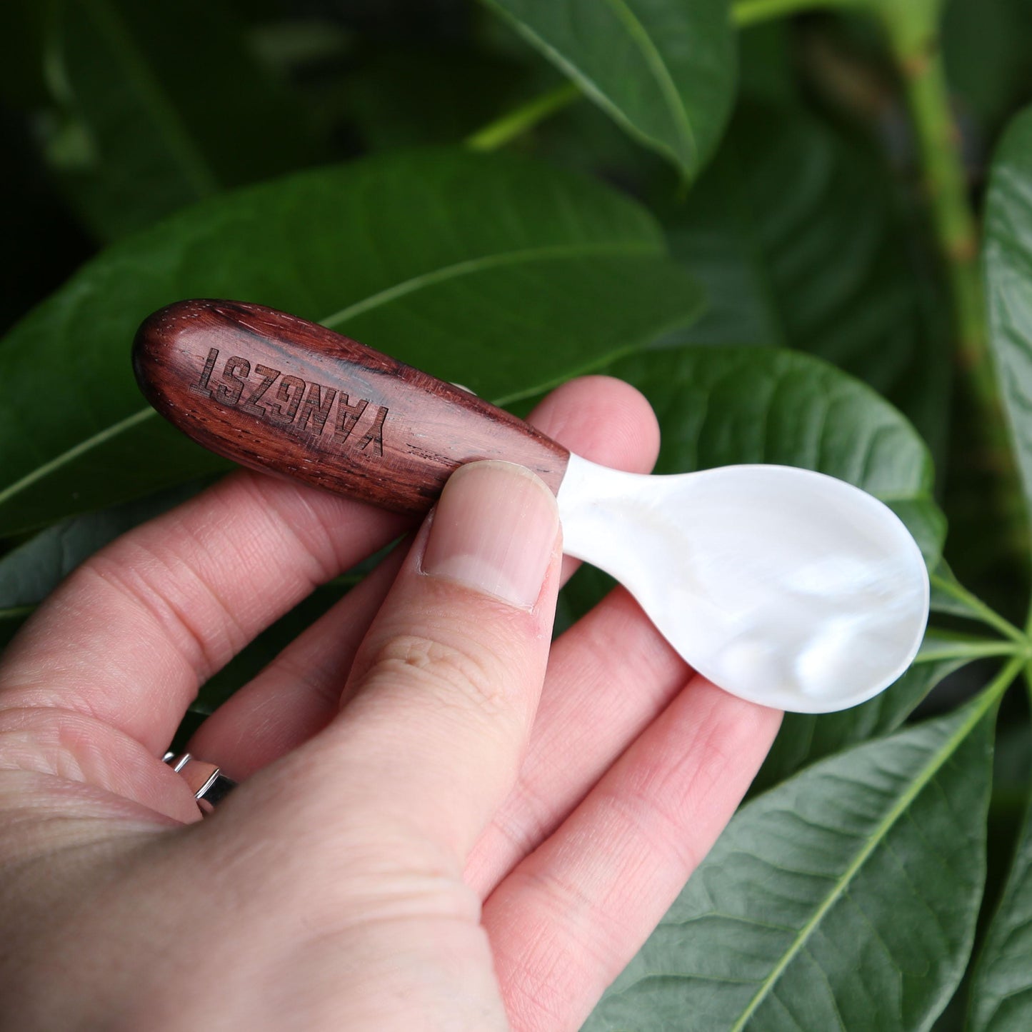 2pcs Wooden Coffee Stirring Spoon with Shell Inlay,Caviar Spoon,Vintage Multi-Purpose Spoon,Custom Engraving,Idea for Home,Cafe & Bar Use